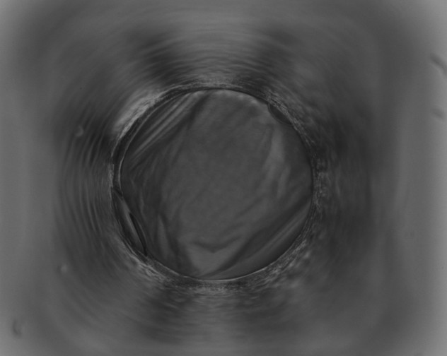 X0000091540194200709071111