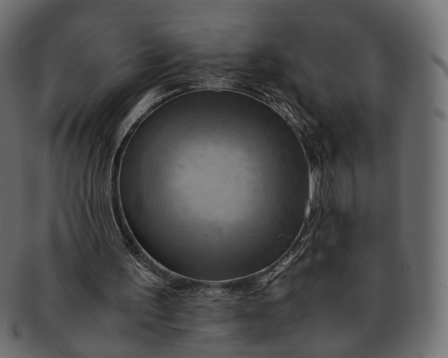 X0000091540195200709071111