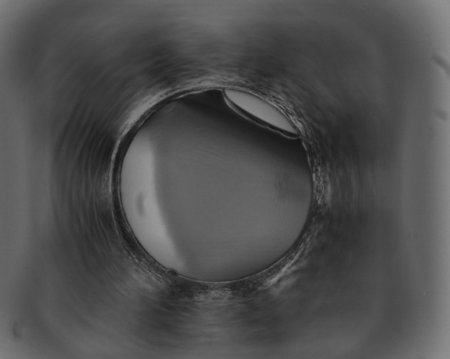 X0000091540196200709071111