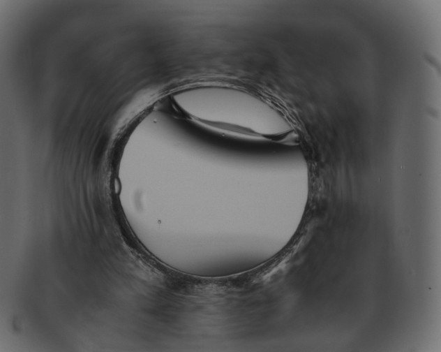 X0000091540197200709071111