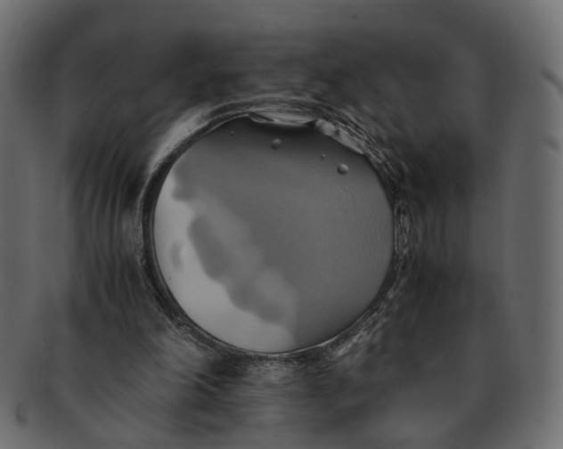 X0000091540198200709071111