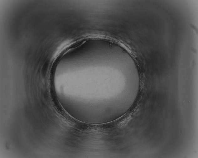 X0000091540199200709071111