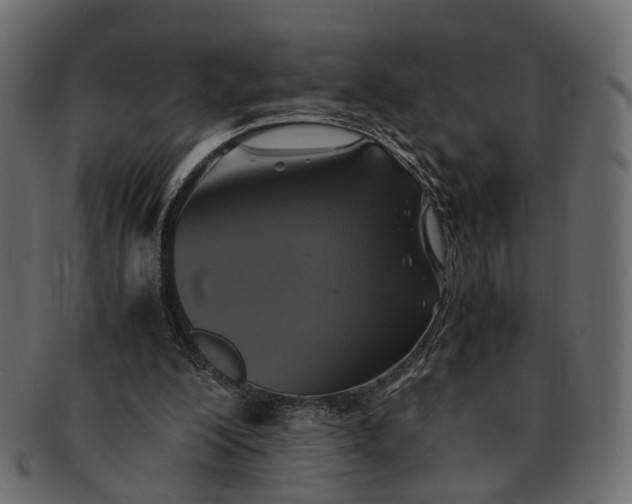 X0000091540200200709071111