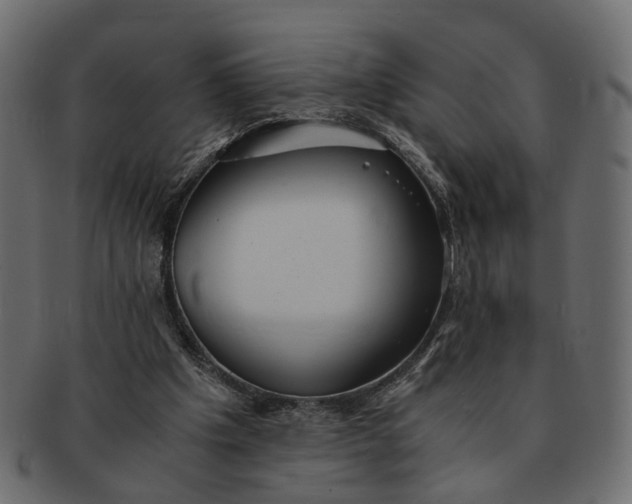 X0000091540201200709071111