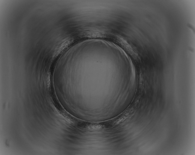 X0000091540202200709071111