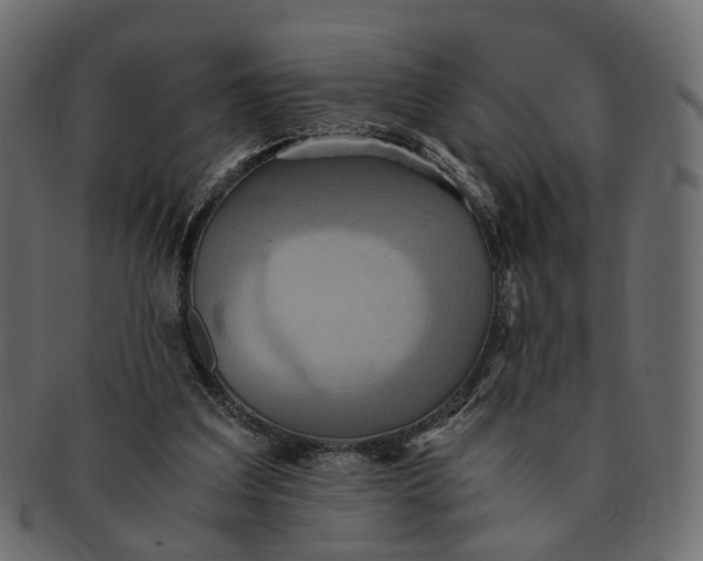 X0000091540203200709071111