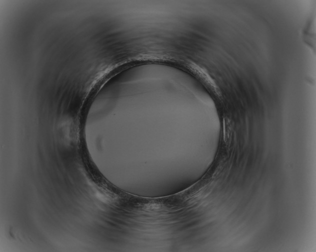 X0000091540204200709071111