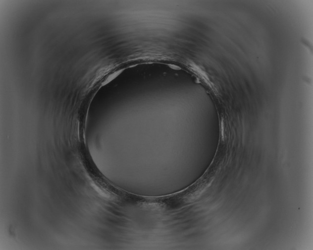 X0000091540205200709071111