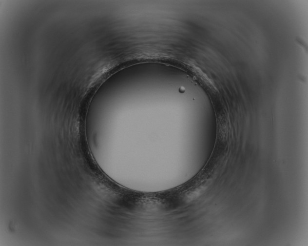 X0000091540207200709071111