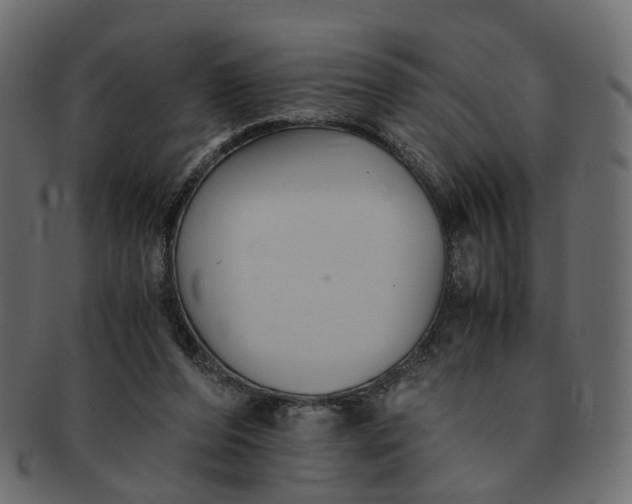 X0000091540208200709071111