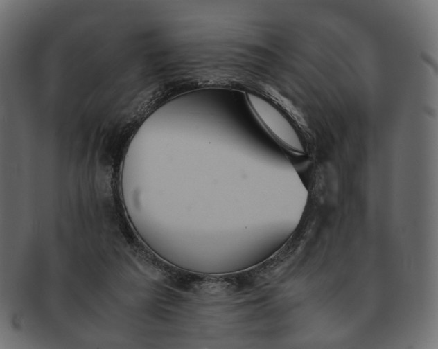 X0000091540209200709071111