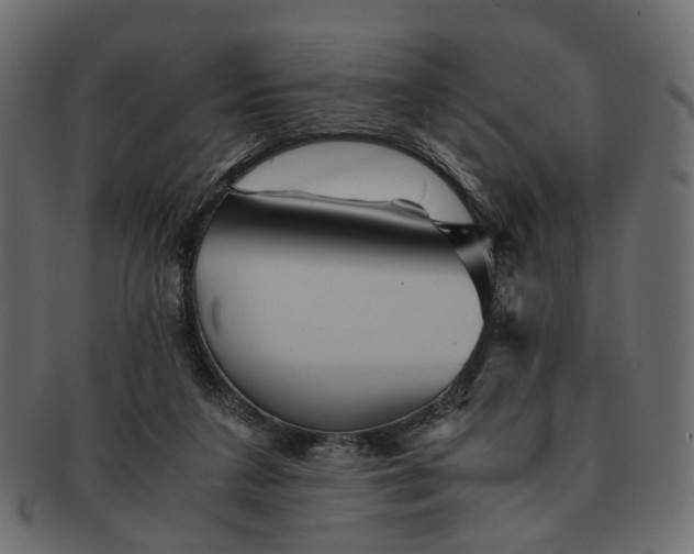 X0000091540211200709071111