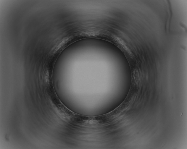 X0000091540212200709071111