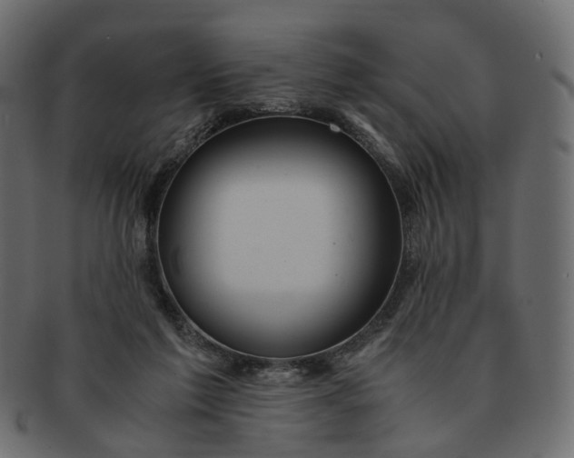 X0000091540213200709071111