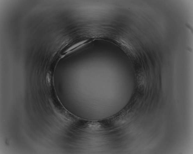 X0000091540214200709071111