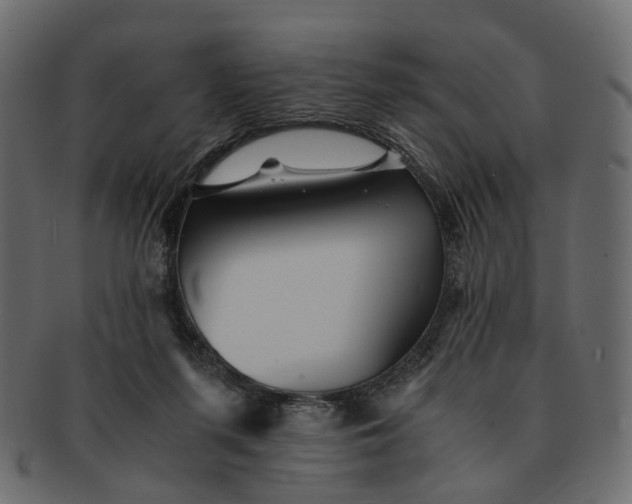 X0000091540215200709071111