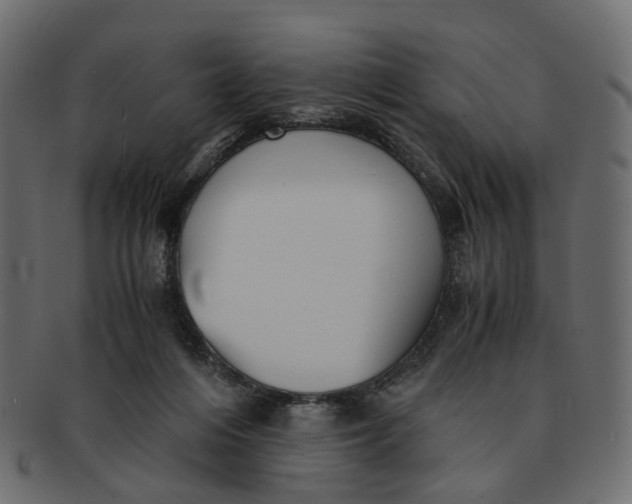 X0000091540216200709071111