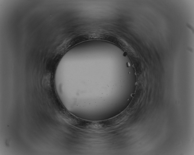 X0000091540217200709071111