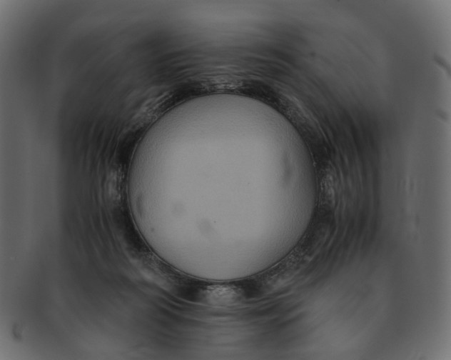 X0000091540218200709071111