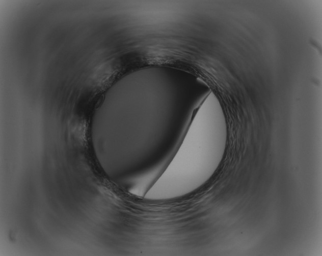 X0000091540219200709071111