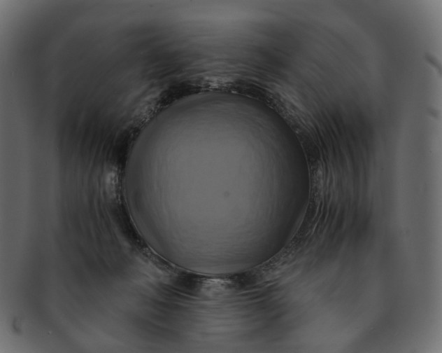 X0000091540222200709071111