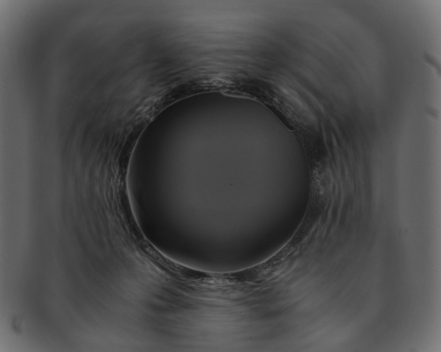 X0000091540223200709071111