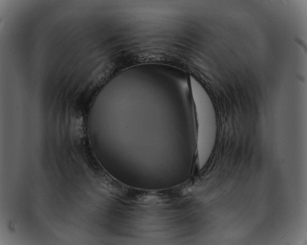 X0000091540224200709071111