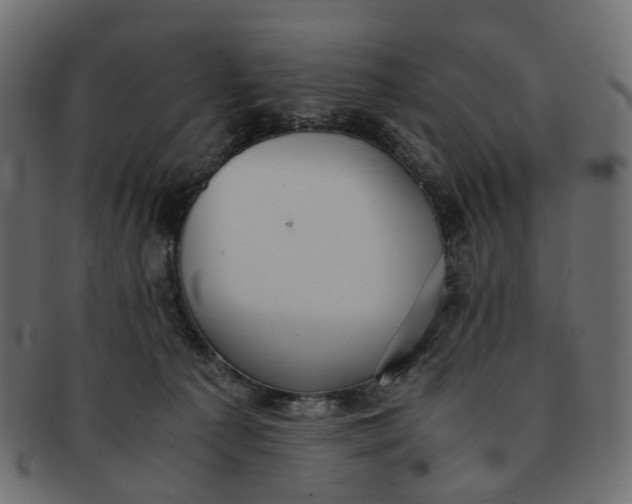 X0000091540225200709071111