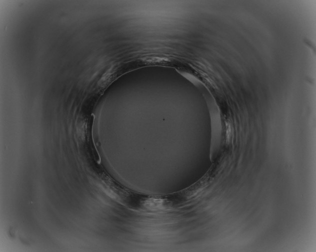 X0000091540227200709071111