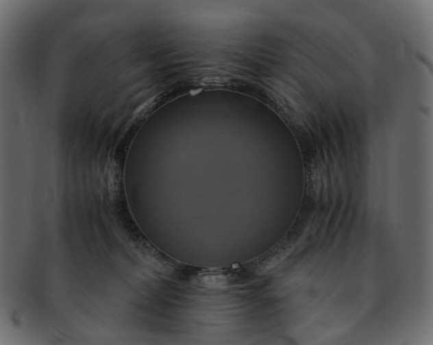 X0000091540228200709071111