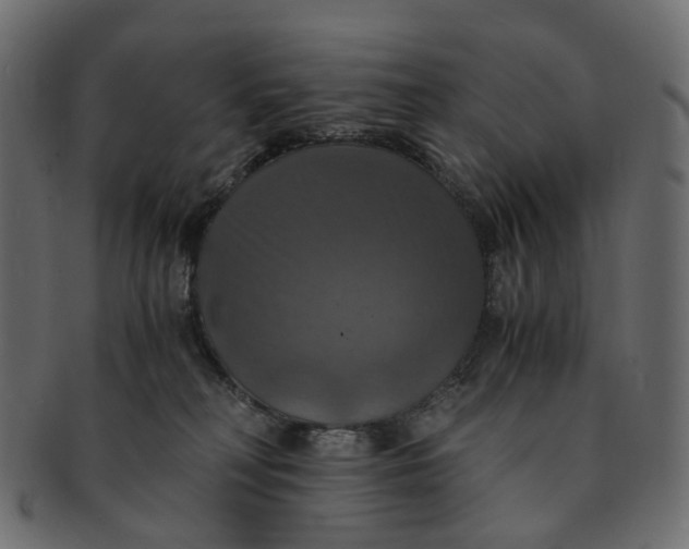 X0000091540230200709071111