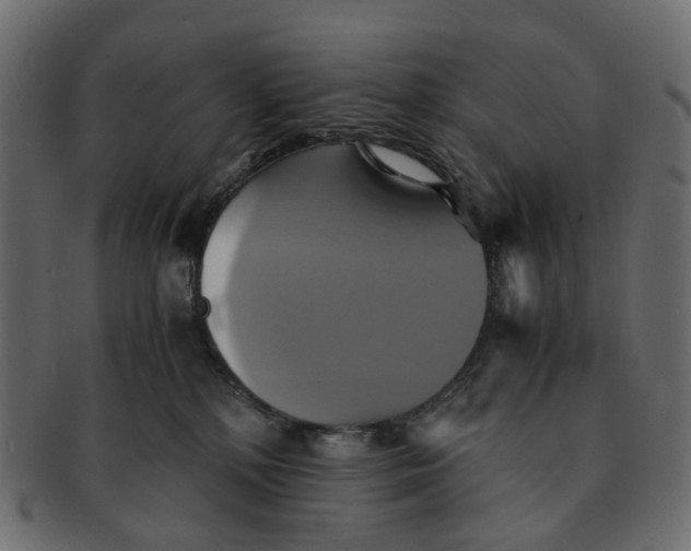 X0000091540232200709071111