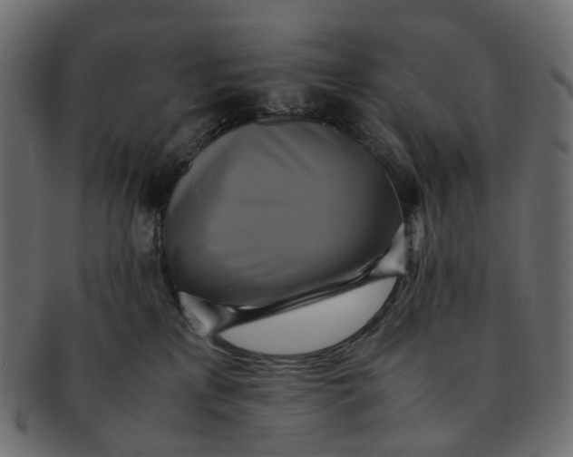 X0000091540233200709071111