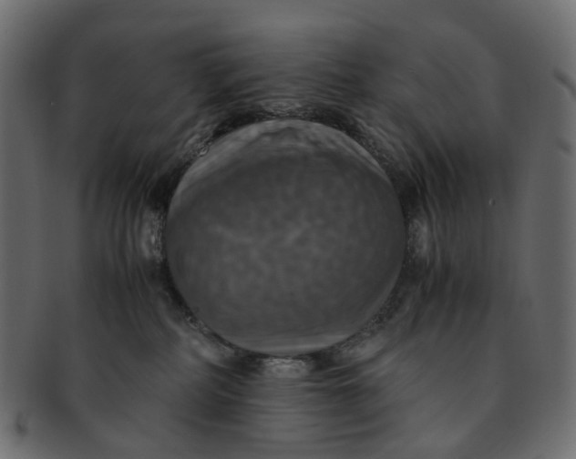 X0000091540234200709071111