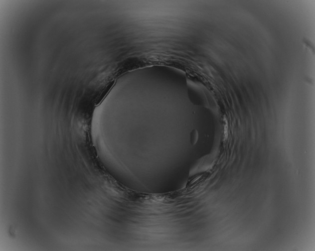 X0000091540235200709071111