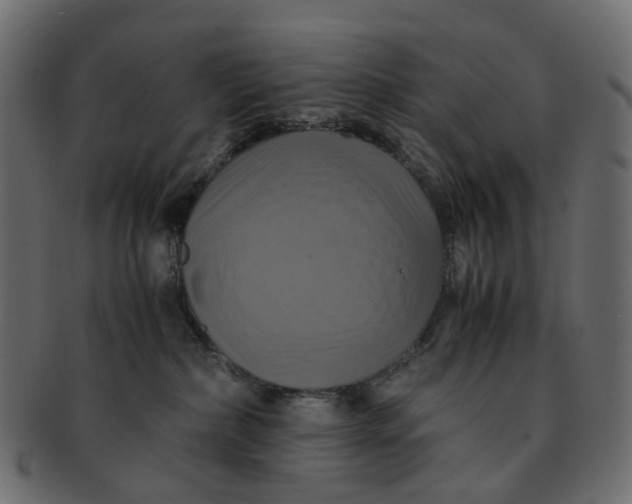 X0000091540236200709071111