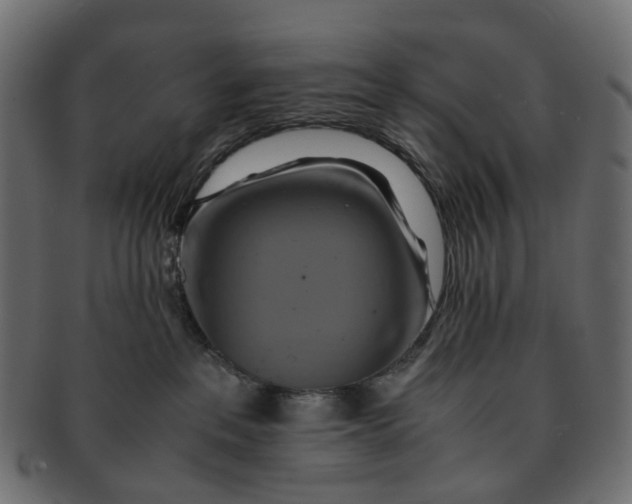 X0000091540237200709071111