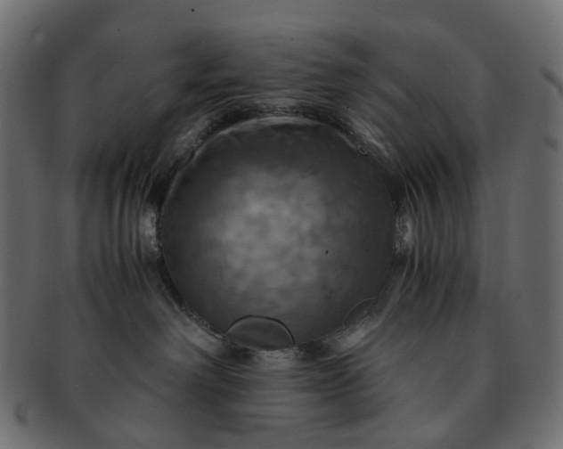 X0000091540238200709071111