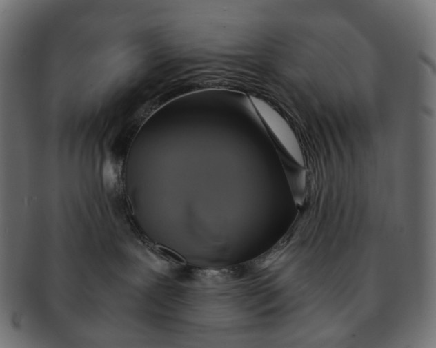 X0000091540239200709071111