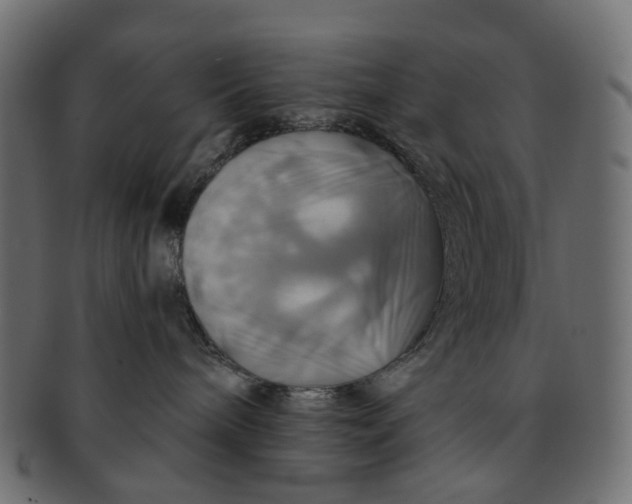 X0000091540240200709071111