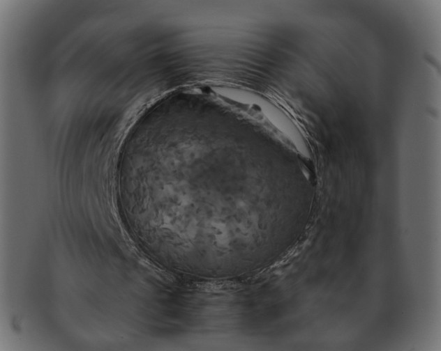 X0000091540241200709071110