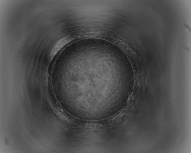 X0000091540242200709071110