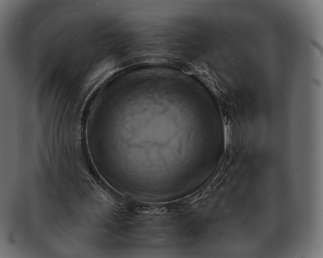 X0000091540243200709071110