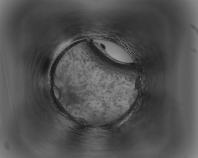 X0000091540246200709071110