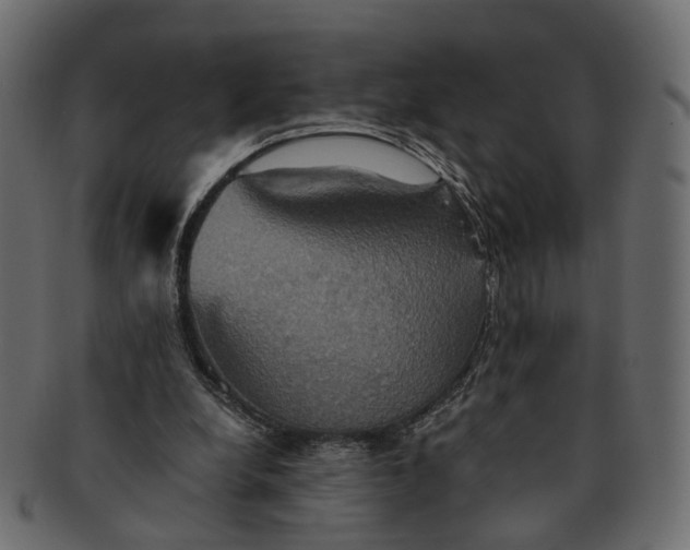 X0000091540248200709071110