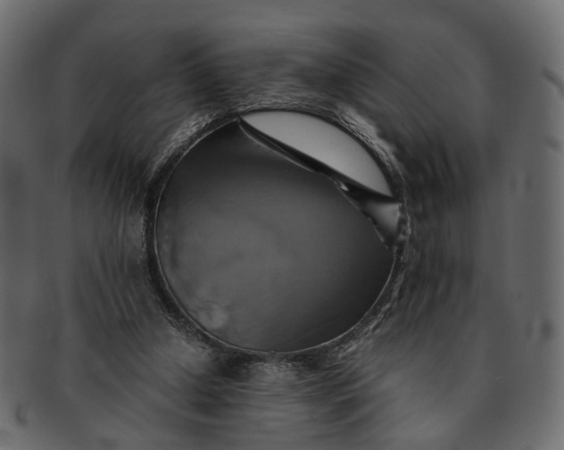 X0000091540250200709071110