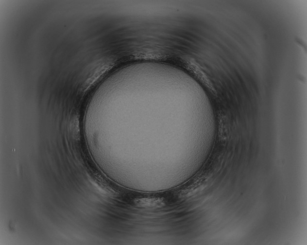 X0000091540251200709071110