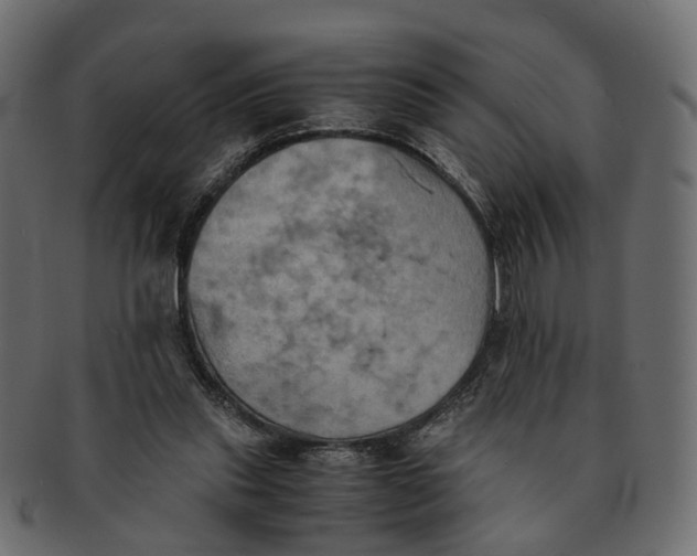 X0000091540253200709071110