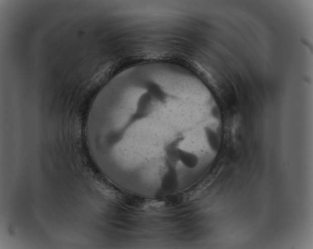 X0000091540257200709071110