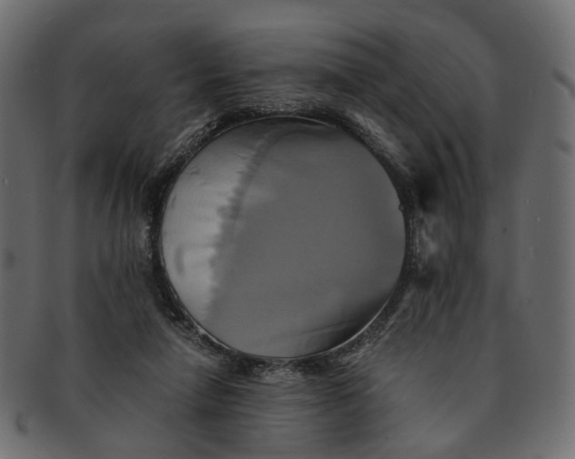 X0000091540258200709071110